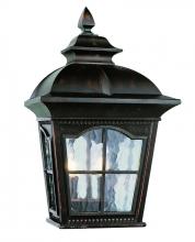  5429-1 AR - Briarwood Traditional, Water Glass and Metal, Outdoor Pocket Wall Lantern Light
